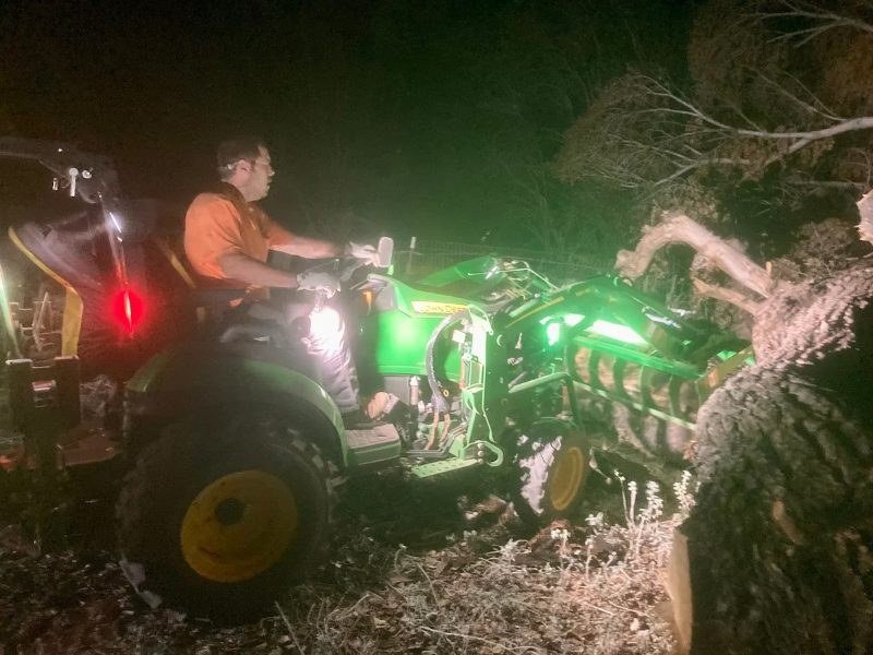 Emergency Tree Service services in Sierra Vista, Arizona