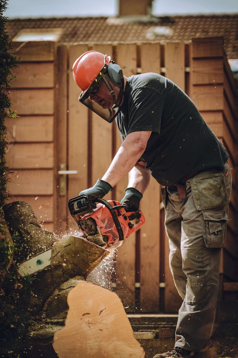 Tree Removal Specialist team
