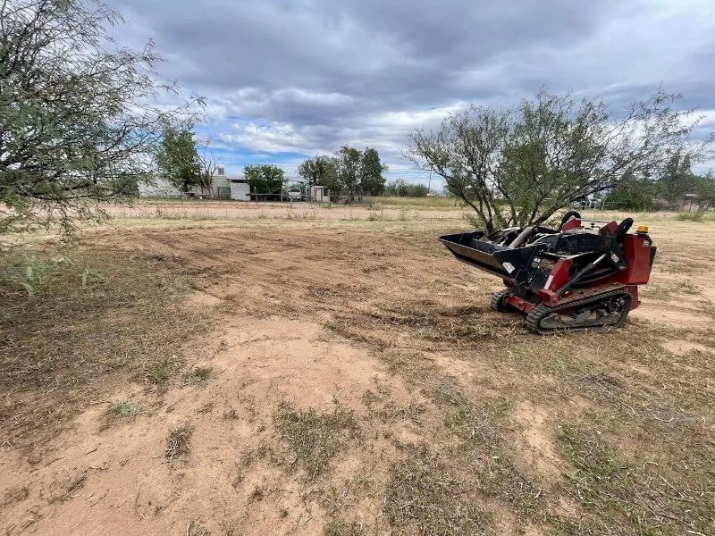 Land Clearing services in Sierra Vista, Arizona