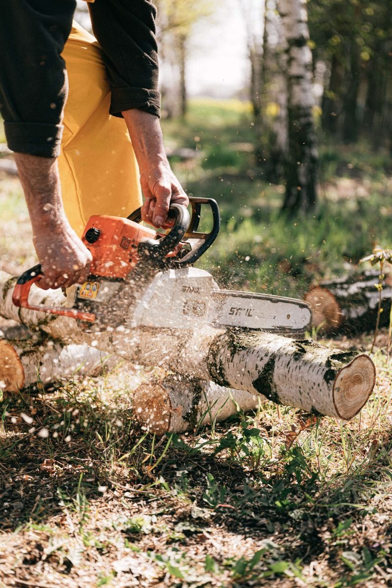Tree Cutting in Sierra Vista