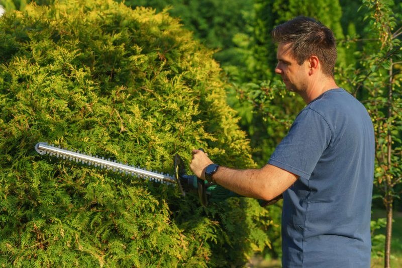 Tree Pruning services in Sierra Vista, Arizona